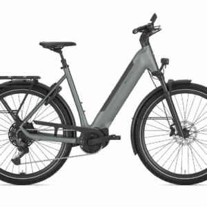 Gazelle Ultimate T11